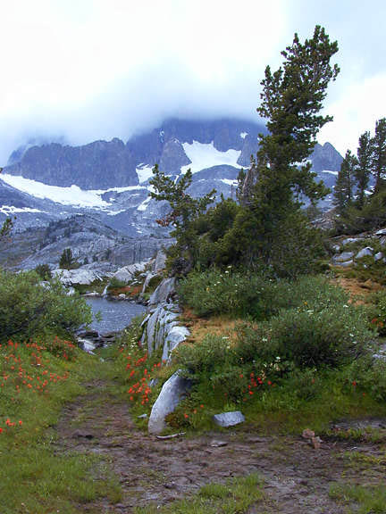 JMT0135