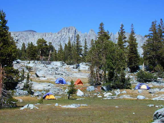 JMT0246