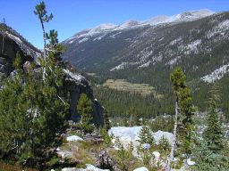 JMT0259